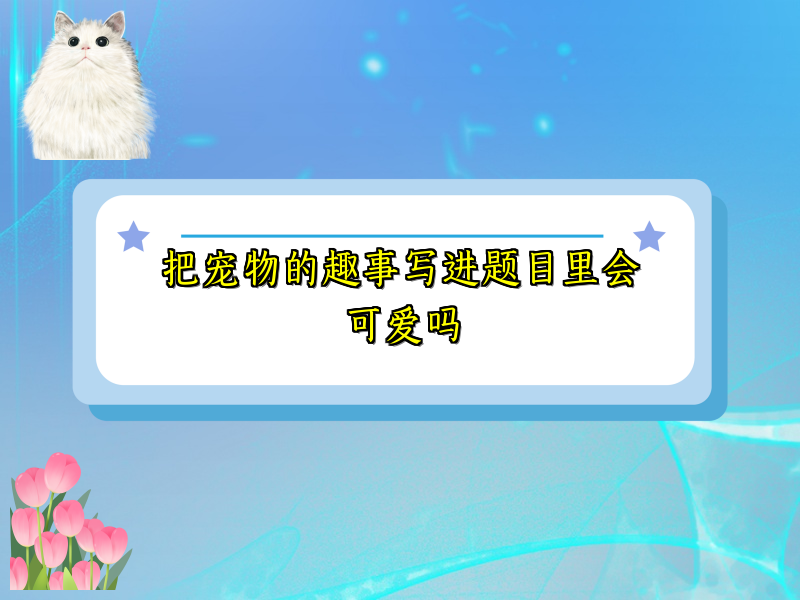 把宠物的趣事写进题目里会可爱吗