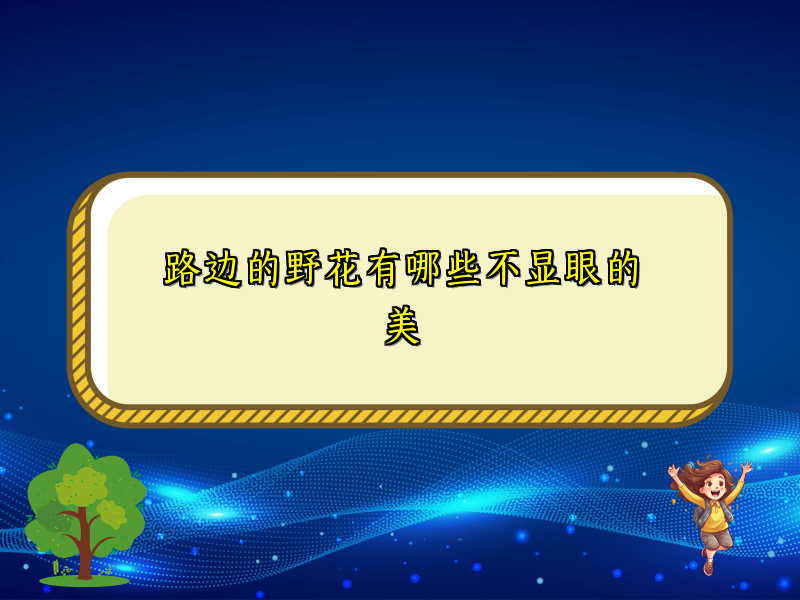 路边的野花有哪些不显眼的美