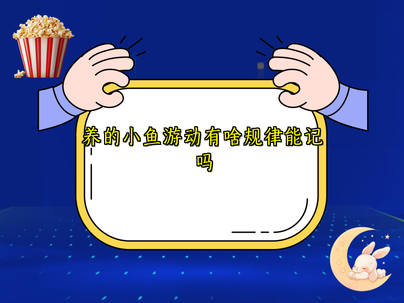 养的小鱼游动有啥规律能记吗 养的小鱼游动有啥规律能记吗