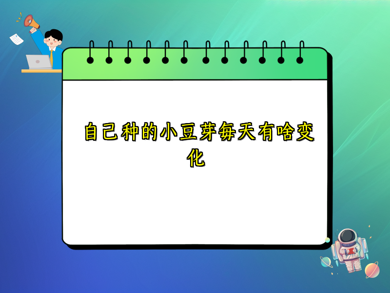 自己种的小豆芽每天有啥变化 自己种的小豆芽每天有啥变化