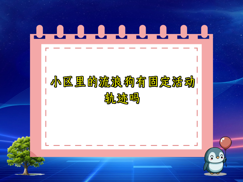 小区里的流浪狗有固定活动轨迹吗
