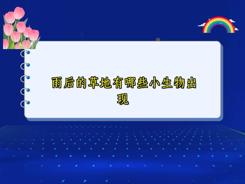 雨后的草地有哪些小生物出现 雨后的草地有哪些小生物出现